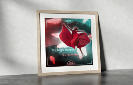 Wizualizacje produktowe - Plakat Red Dancer